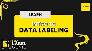 Introduction to Data Labeling | H2O Label Genie Starter Track - Part 1