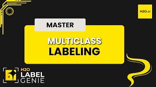 Multiclass labeling | H2O Label Genie Starter Track - Part 6