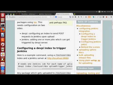 Image from packaging and testing with devpi and tox