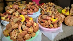 Cuencos que contienen montones de hongos marrones con la parte inferior de color amarillo brillante.