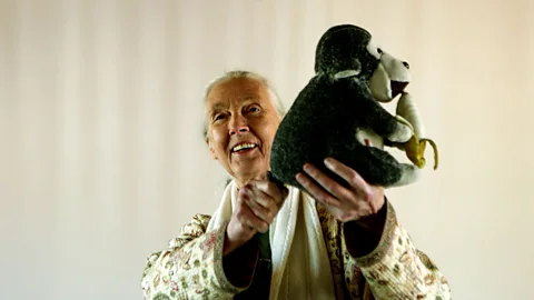 Goodall with her stuffed toy "Mr H" (Getty Images)