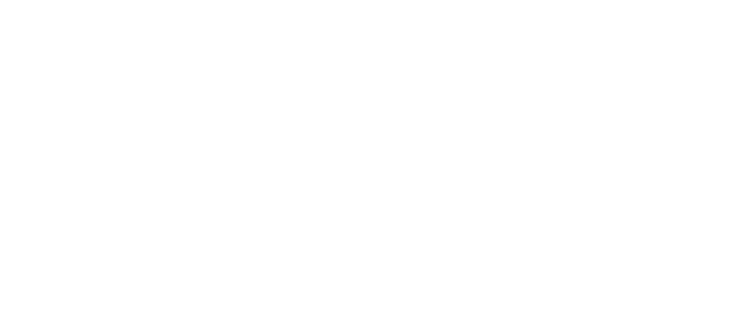 Bluey Logo