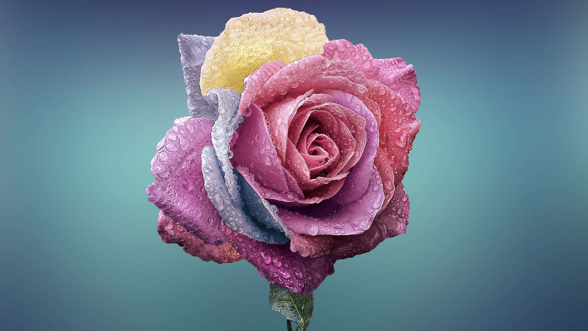 3840x2160 Background Photos