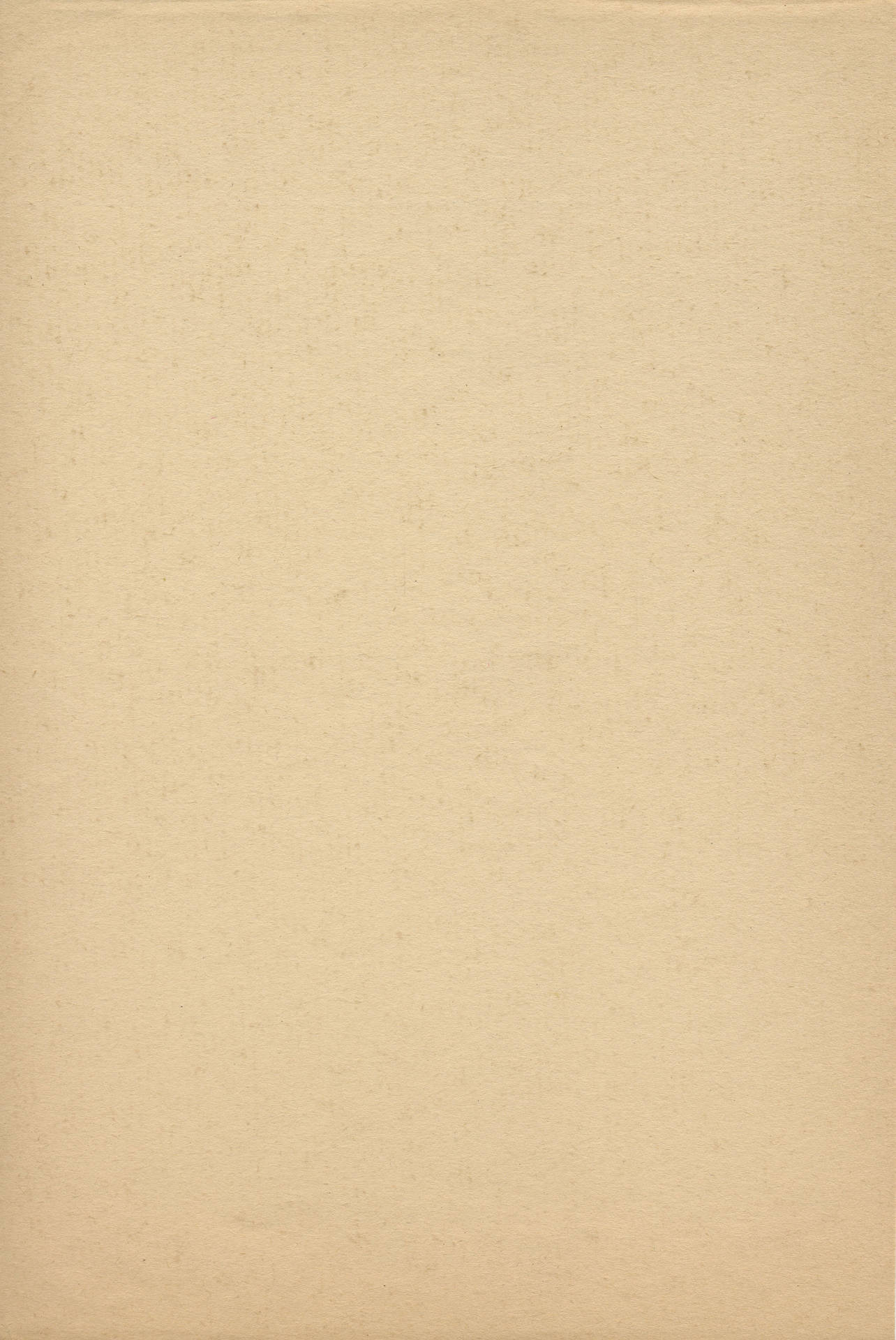 Beige Wallpaper