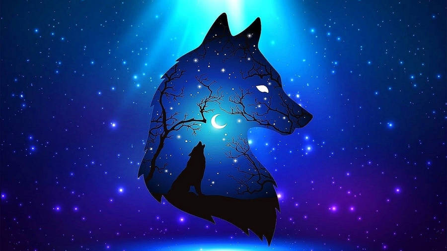 Blue Wolf Background Photos