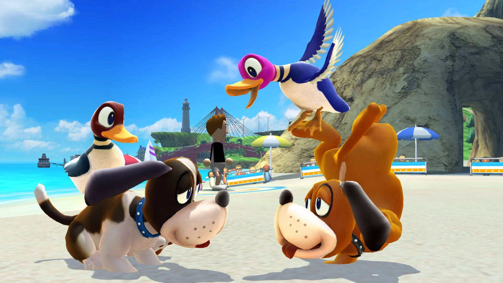 Caccia All'anatra Sfondo