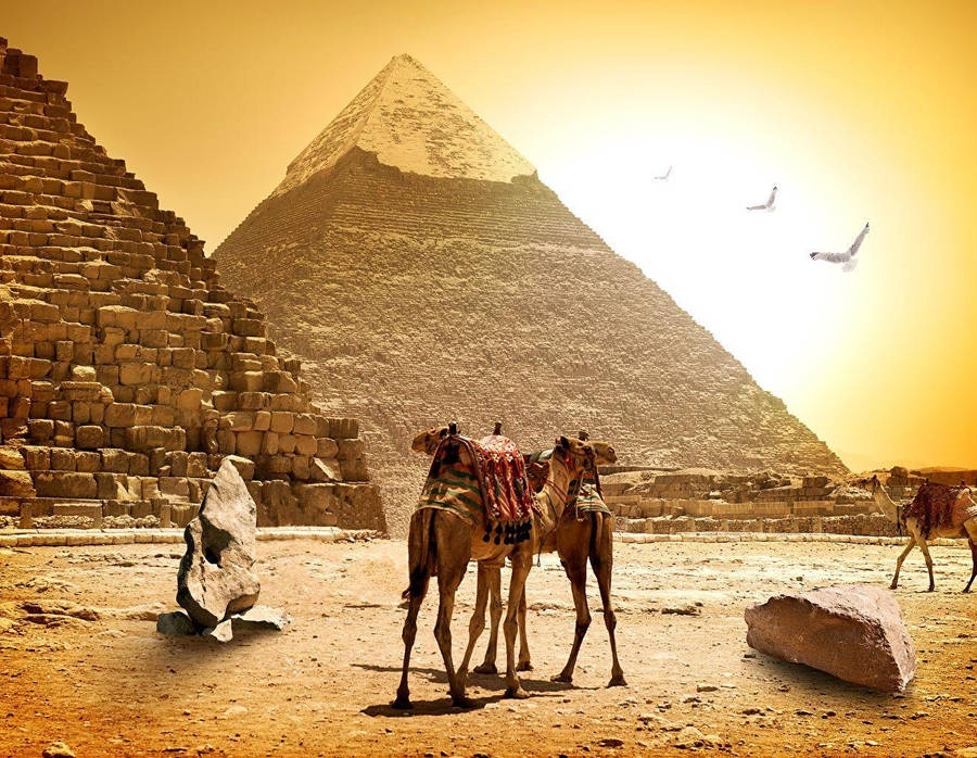 Cairo Background Photos