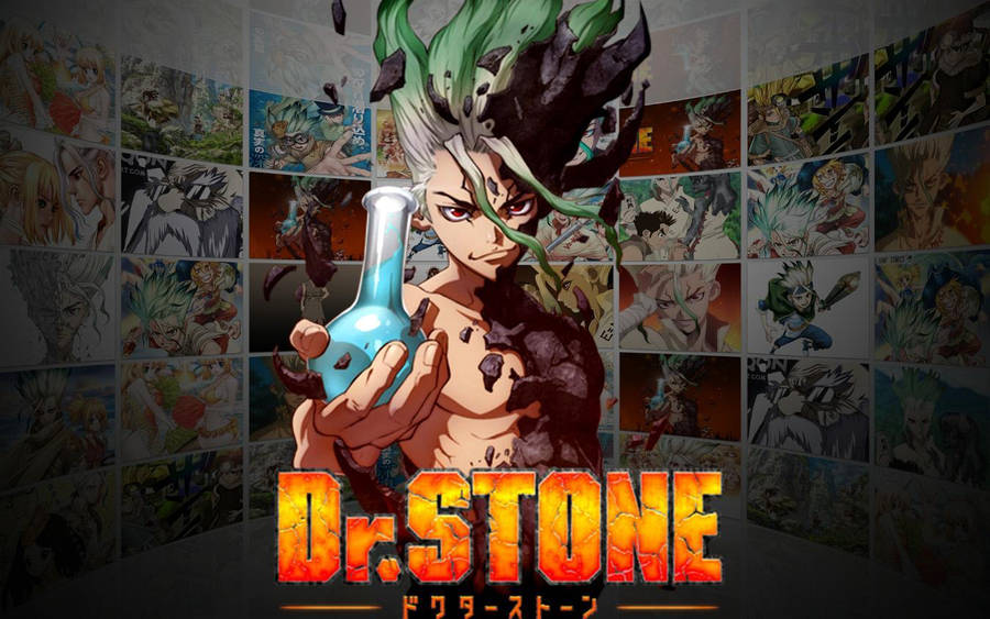 Dr Stone Wallpaper