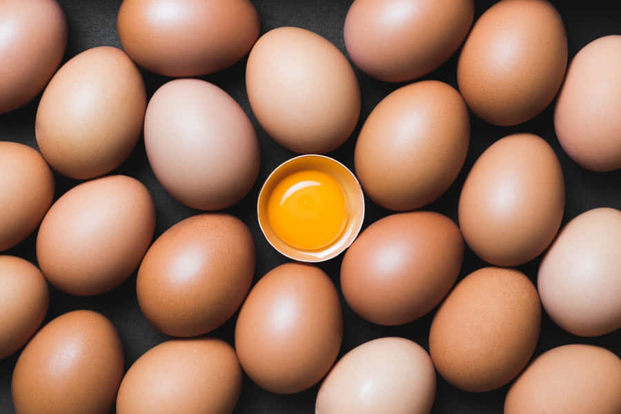 Egg Background Photos