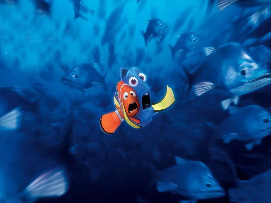 Finding Nemo Background Photos