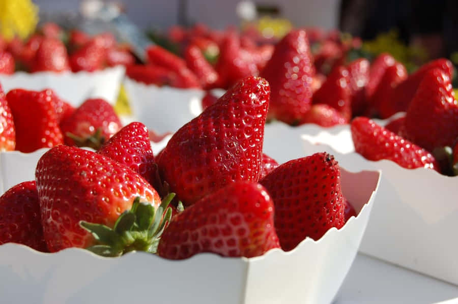 Fruta Roja Fondo de pantalla