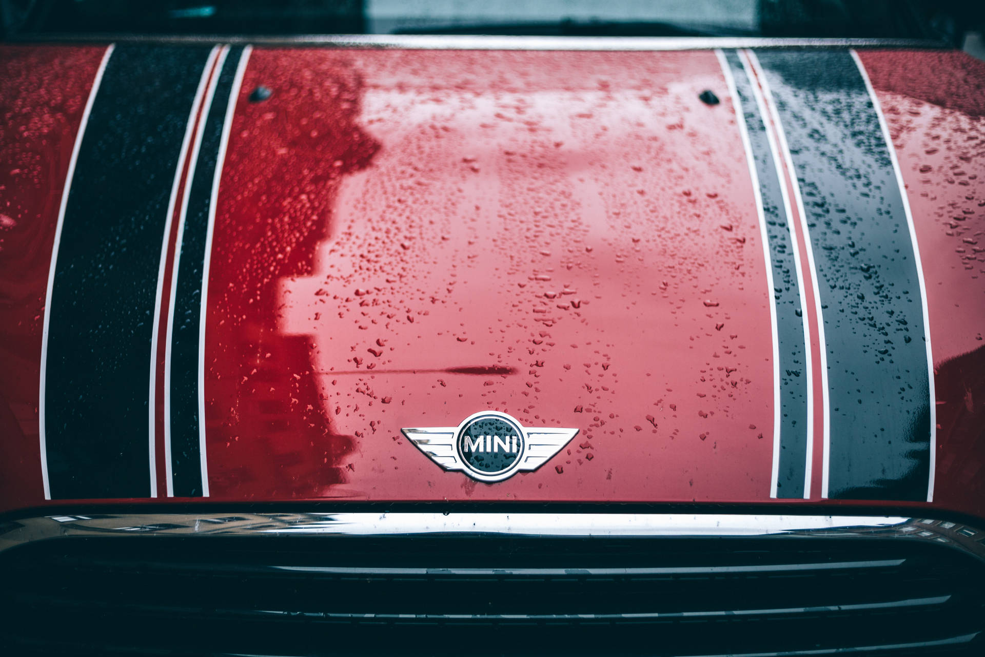 Mini Cooper Logo Wallpaper