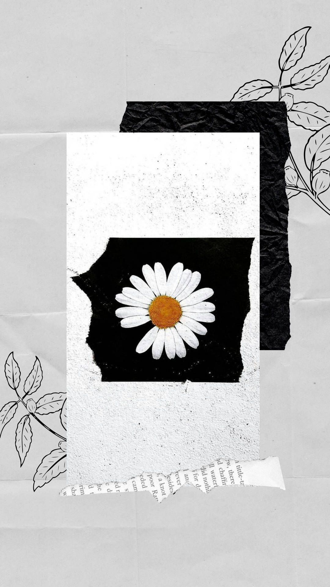 Peaceminusone Sfondo