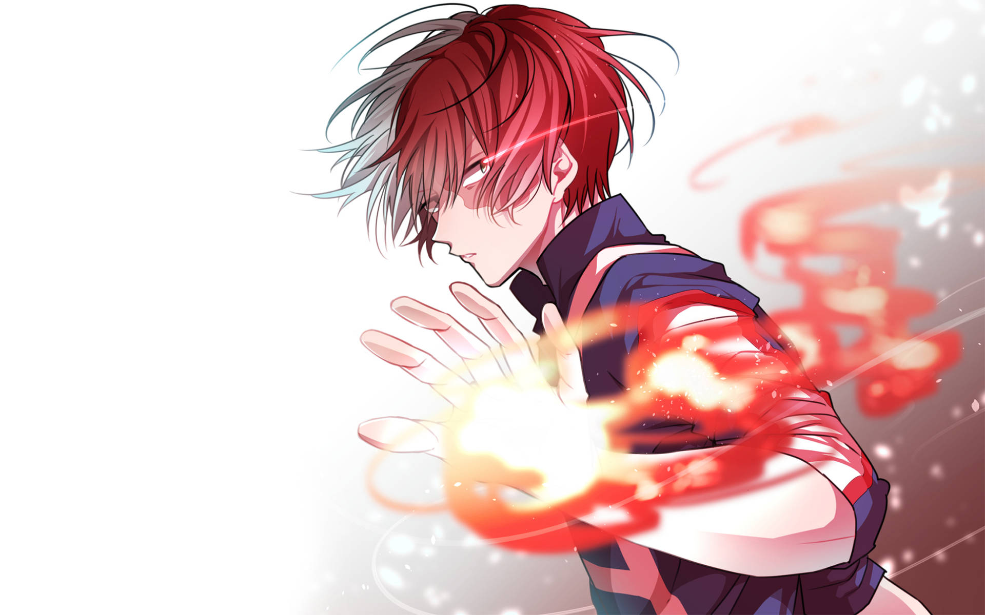 Todoroki Papel de Parede