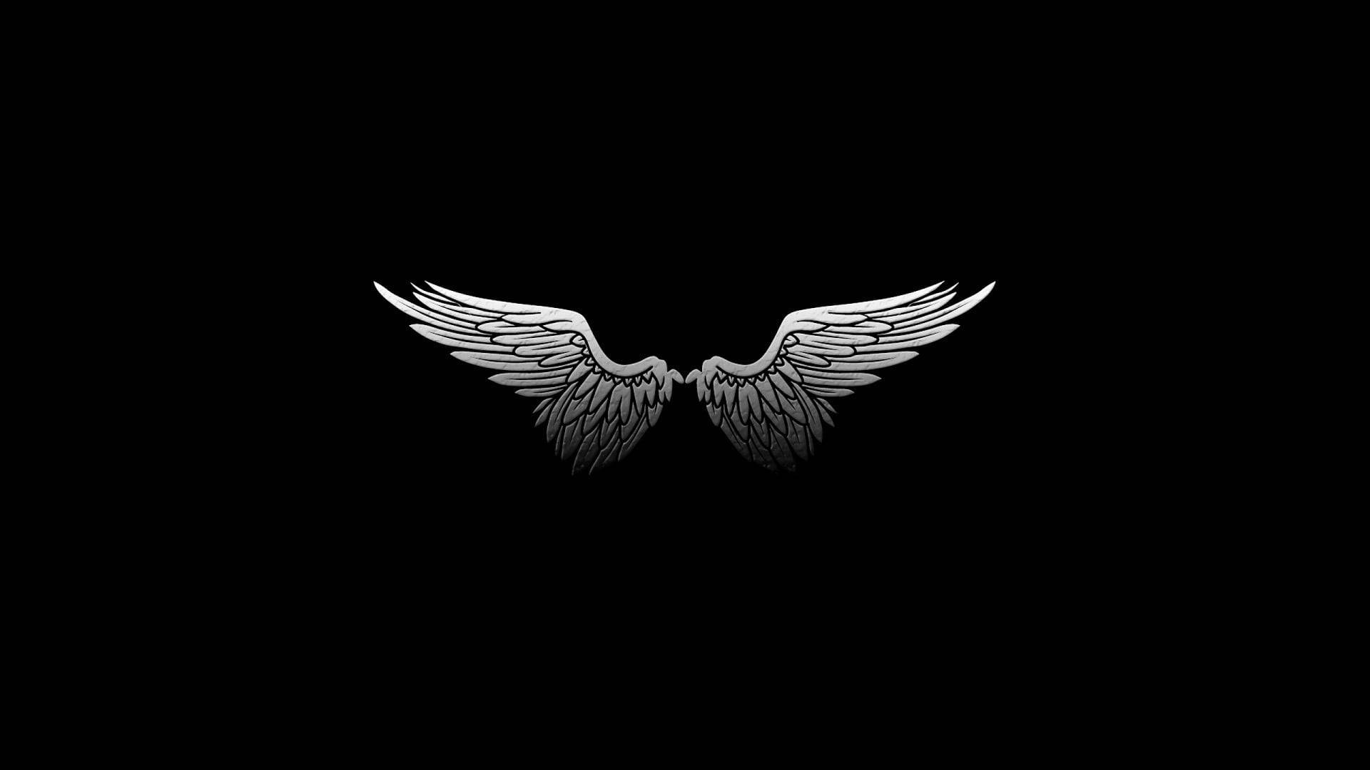 Wings Wallpaper