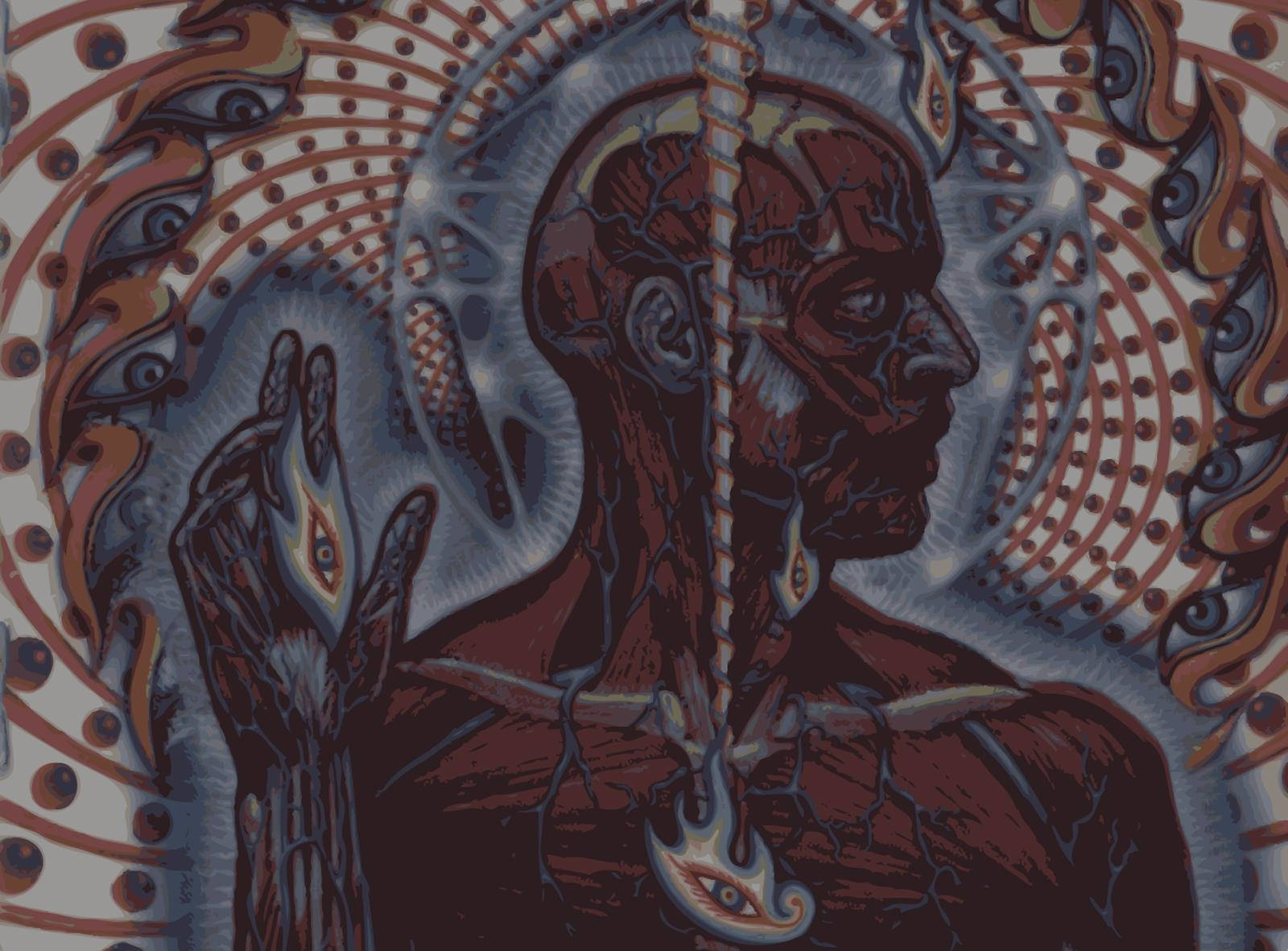 Finding harmony and balance through alternative pathways. Wallpaper