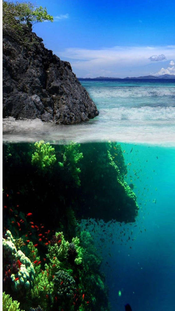 Beneath The Surface 3D Nature Wallpaper