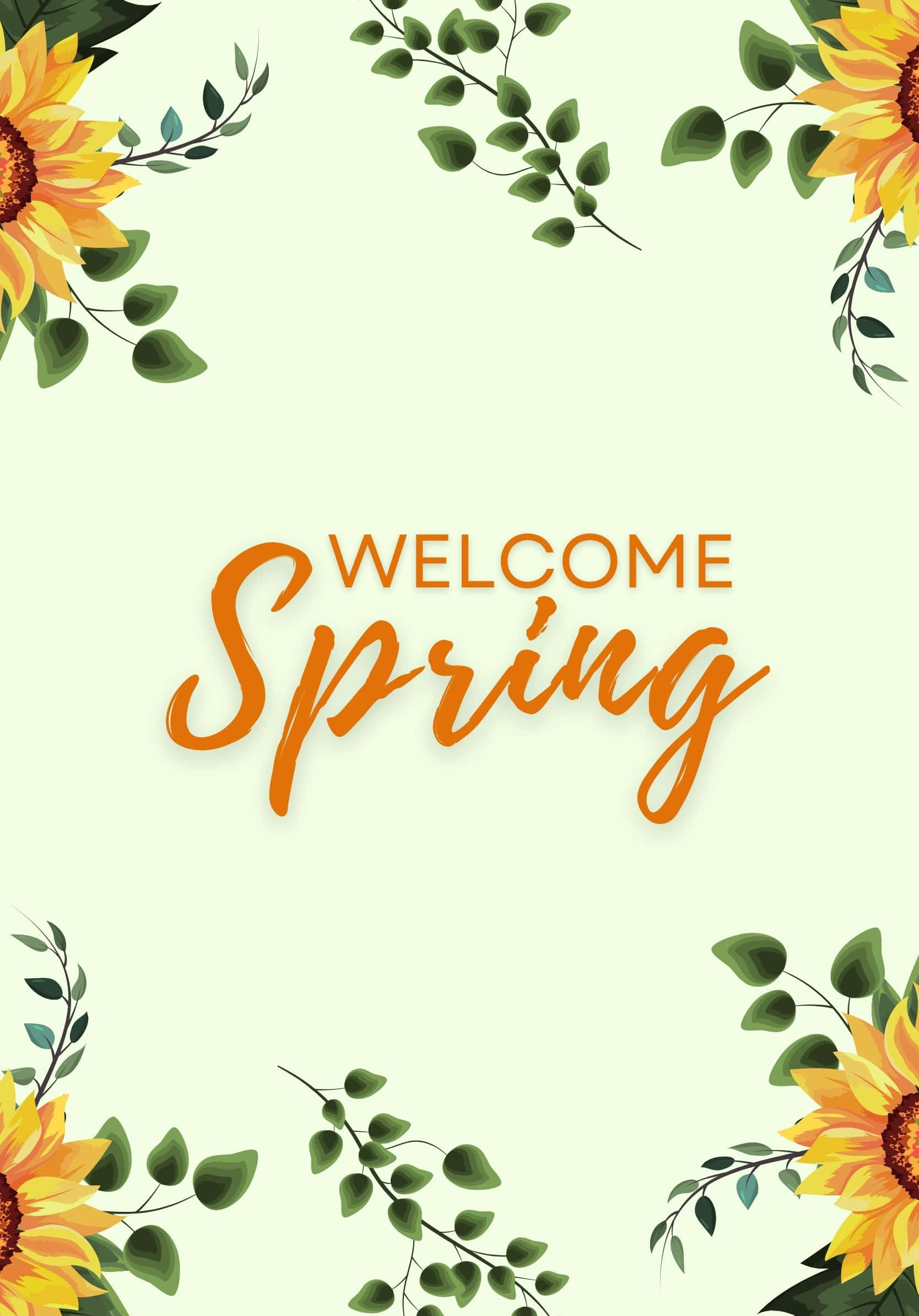 Welcome Best Spring Sunflower Background