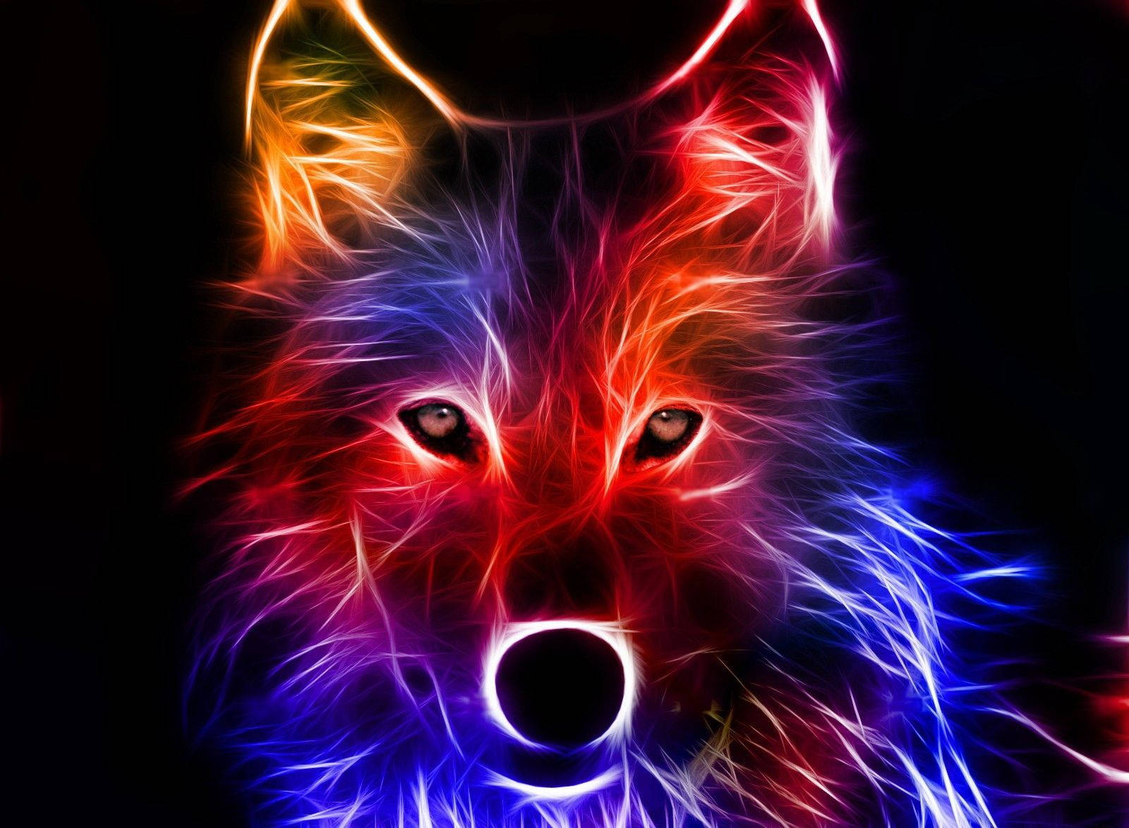 Sejeste Neon Fox