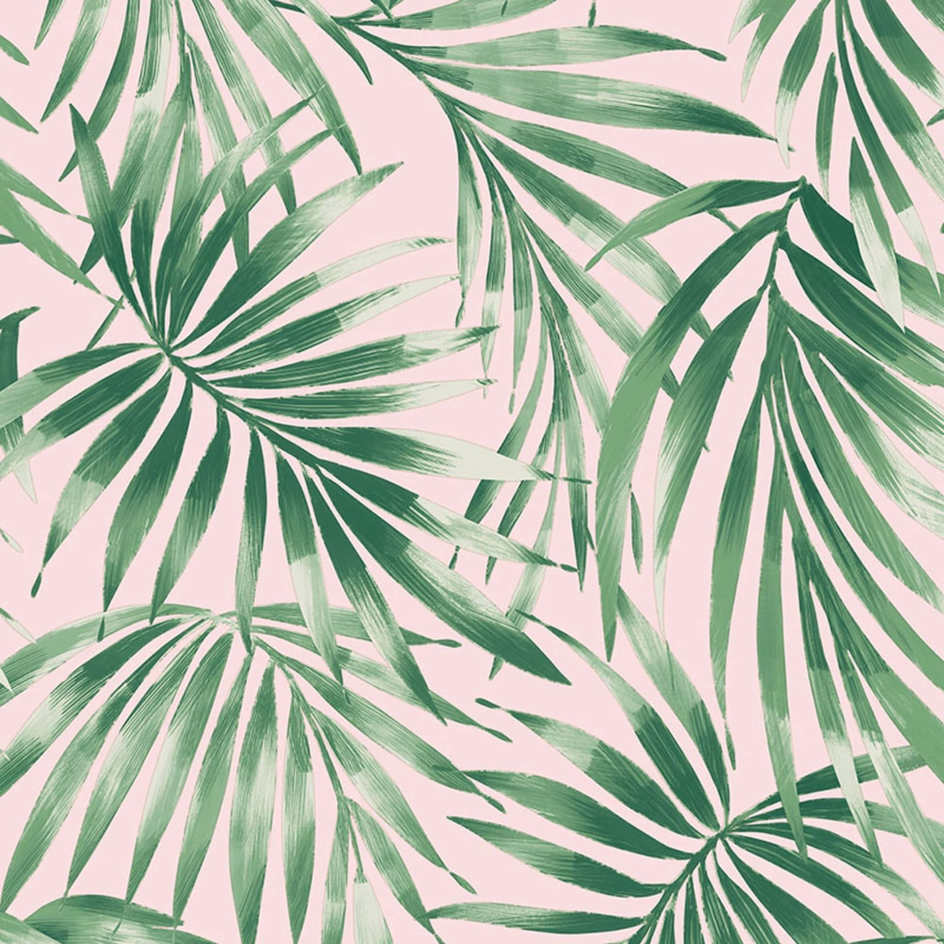 Cute Glossy Leaves Fern Painting Wallpaper