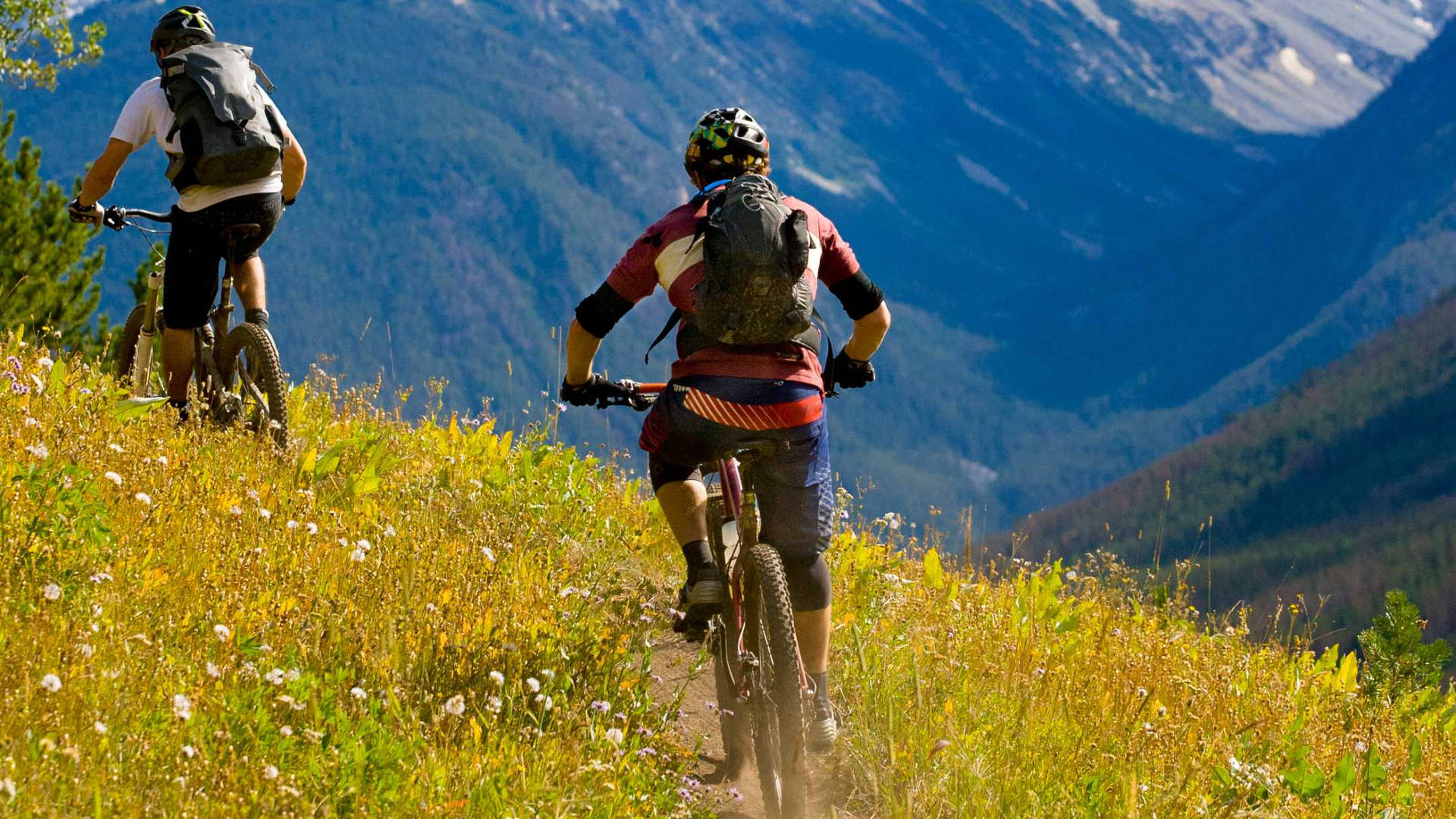 "Thrill of Mountain Biking: Cyclists Conquering Hillside Terrains" Wallpaper