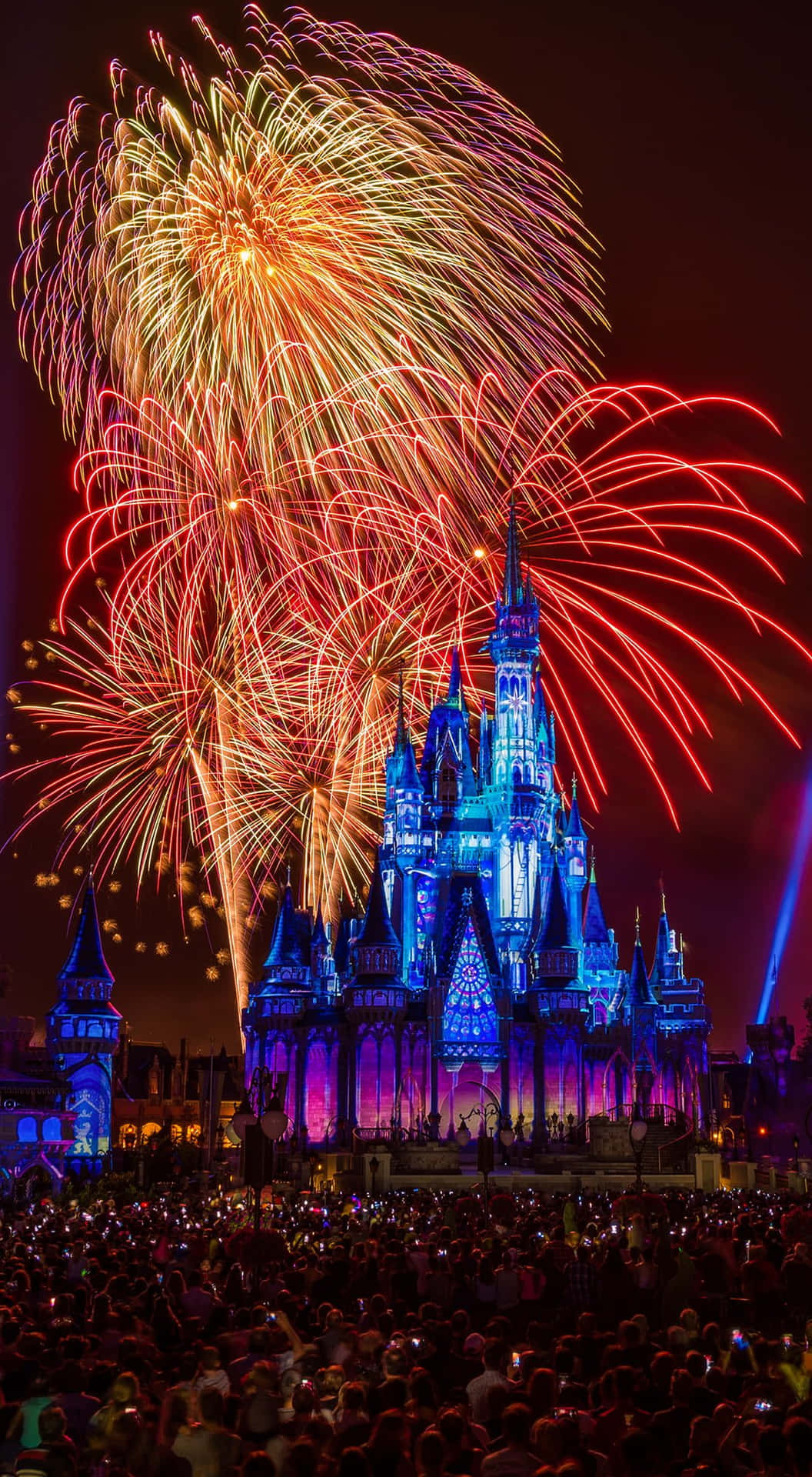 Disney World 1100 X 2000 Wallpaper