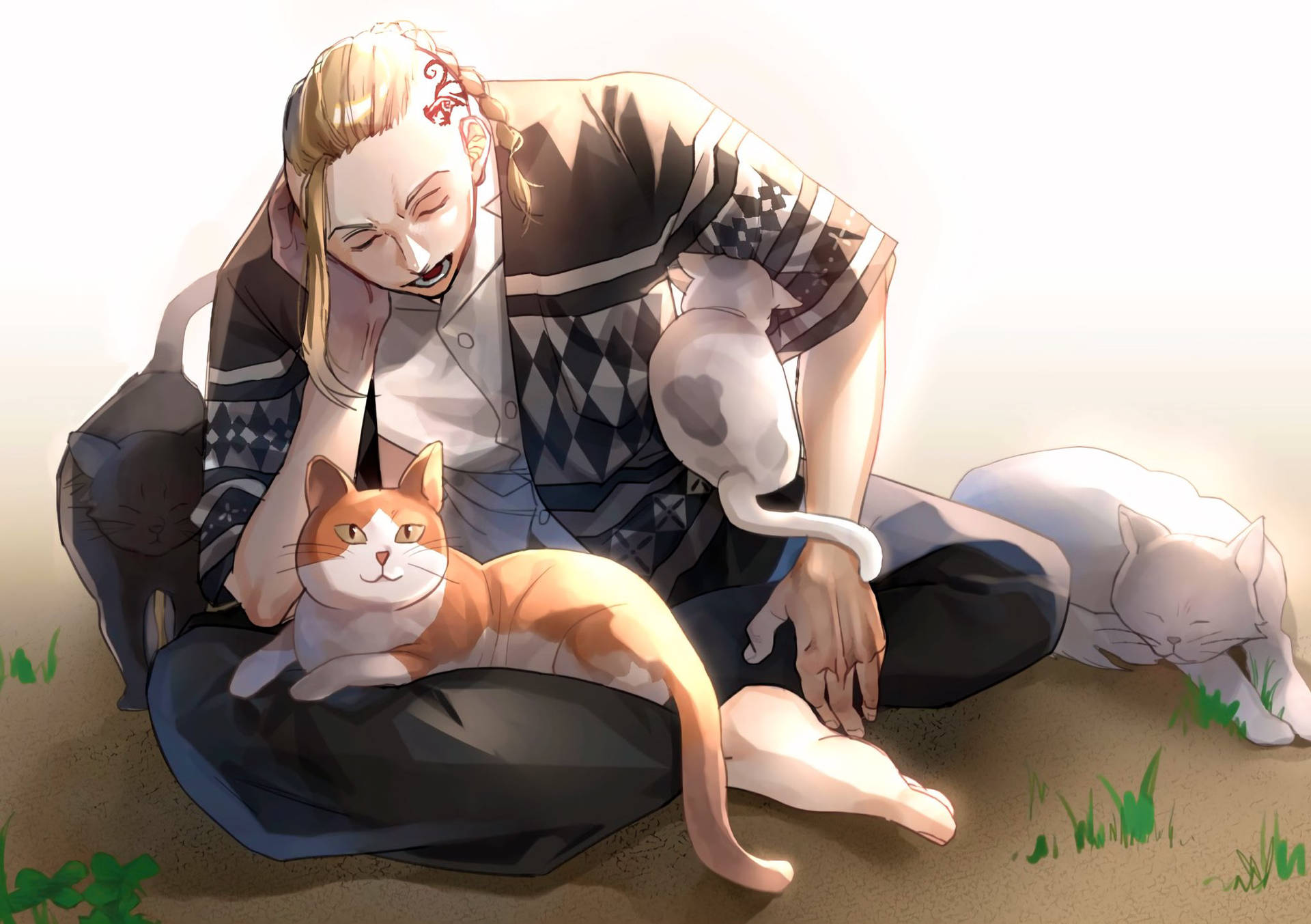 Draken Med Katter Bakgrunnsbildet