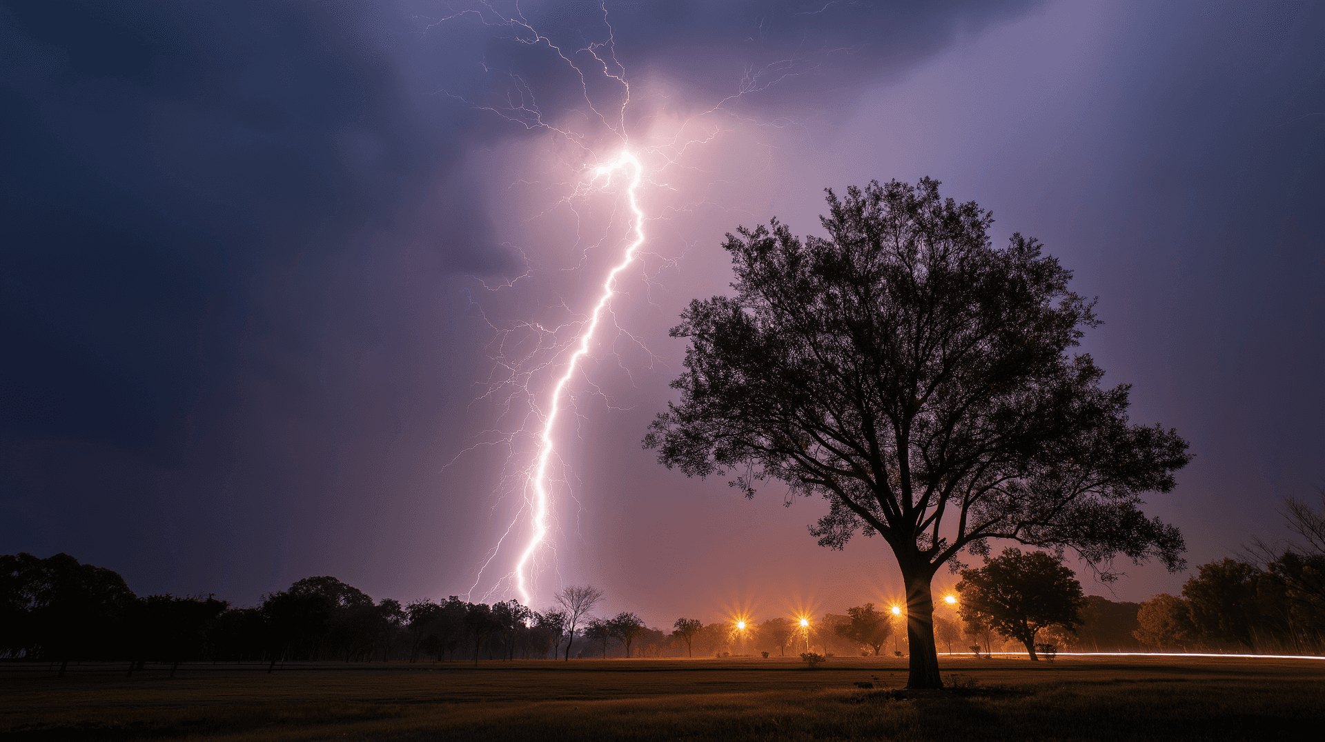 Electrifying Tree Strike Wallpaper