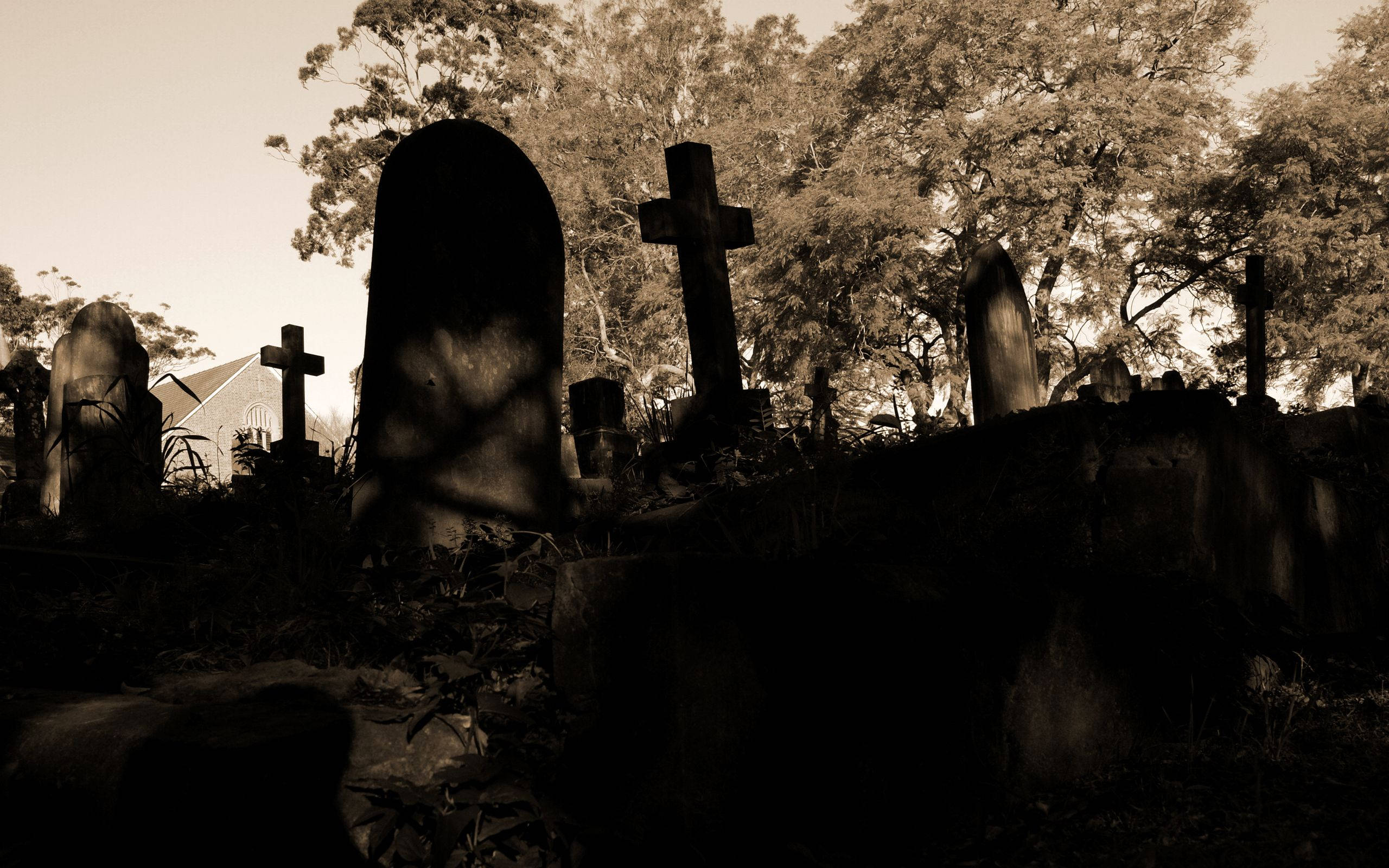 Cimetière En Sépia Fond d'écran