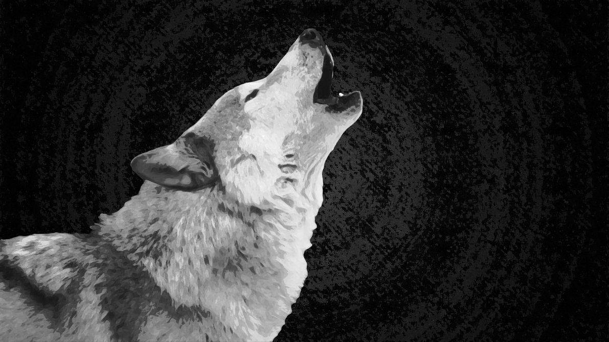 The Howl of a Wild Wolf Wallpaper