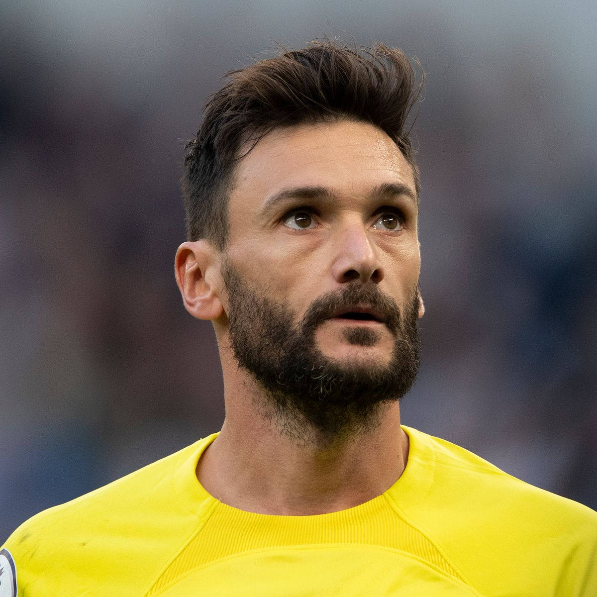 Ritrattodi Hugo Lloris Sfondo