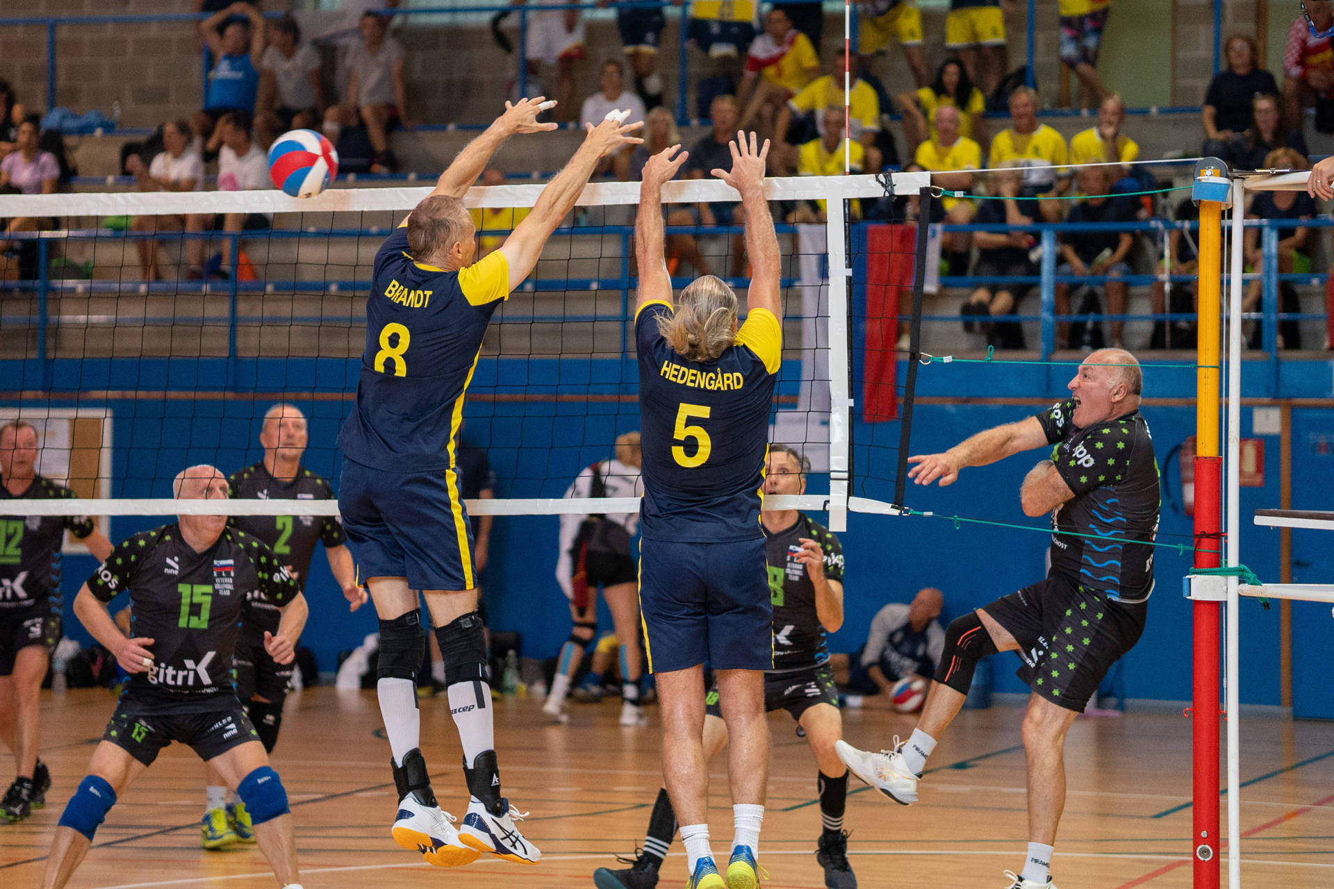 Volleyballindoor Competitivo Sfondo
