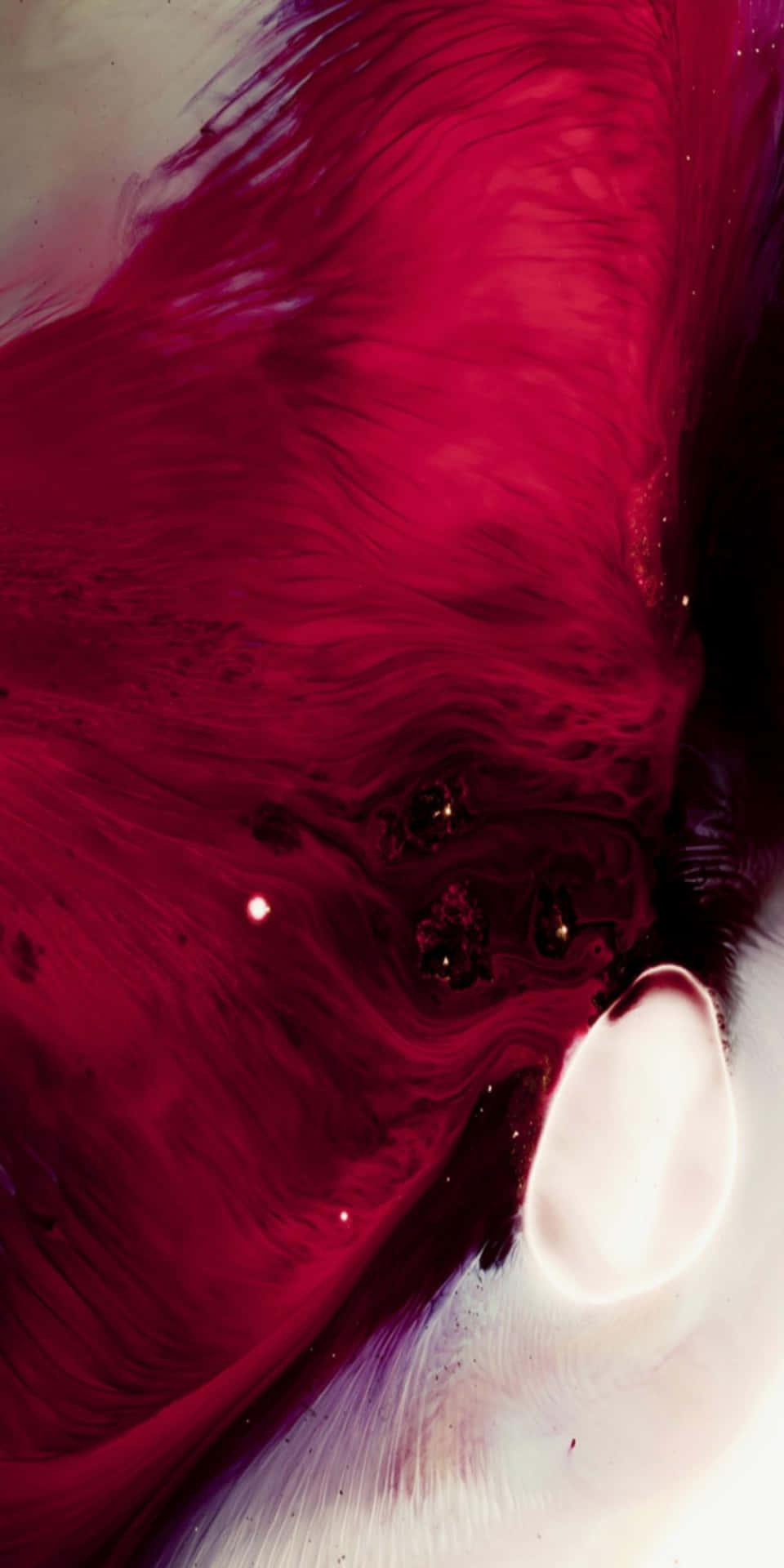 iPhone 11 Red Fluid Wallpaper