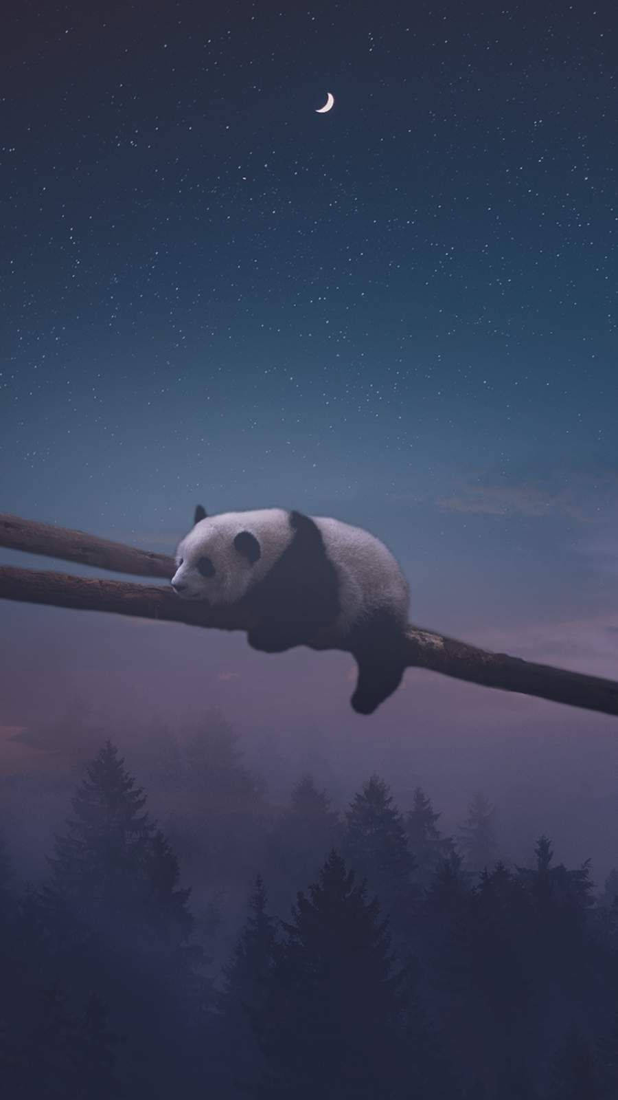 sCutely - Nat Panda sover sødt Wallpaper