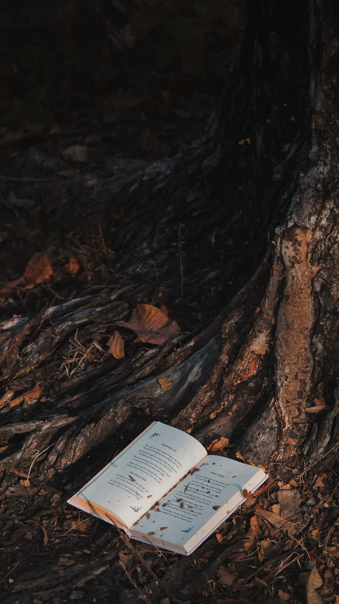 Roman På Treet Bakgrunnsbildet