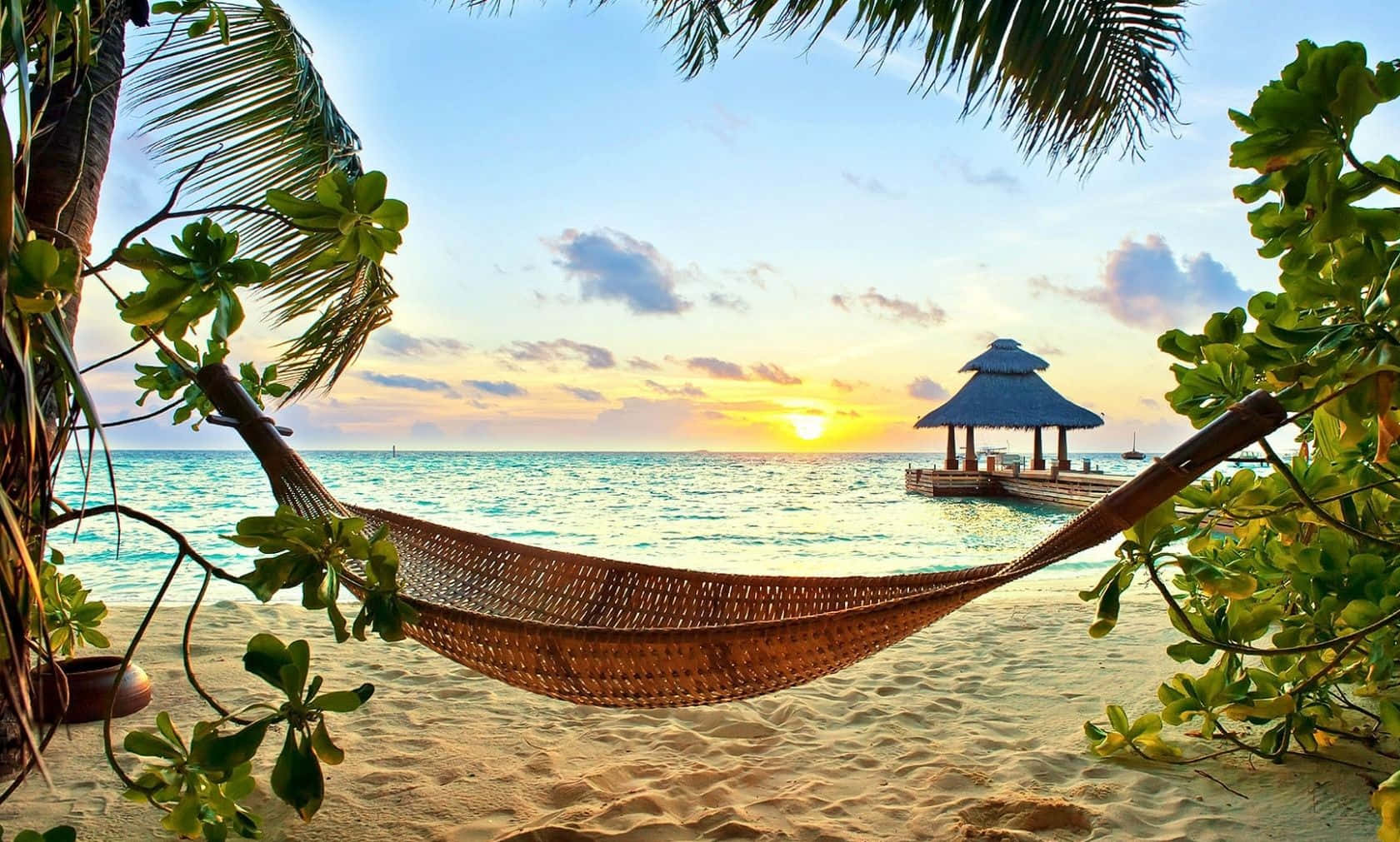 Take a Journey to Paradise