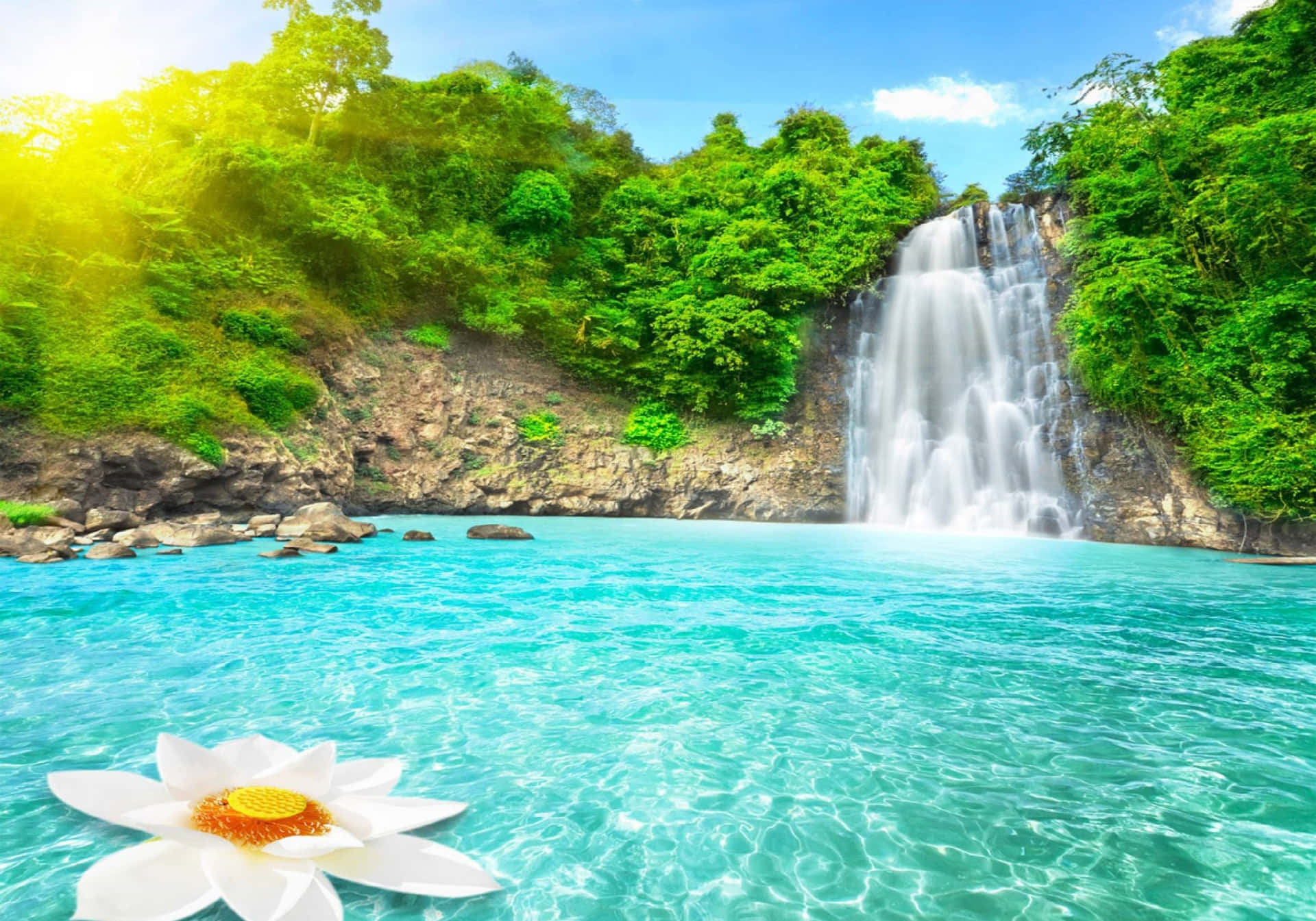 Discover Your Paradise