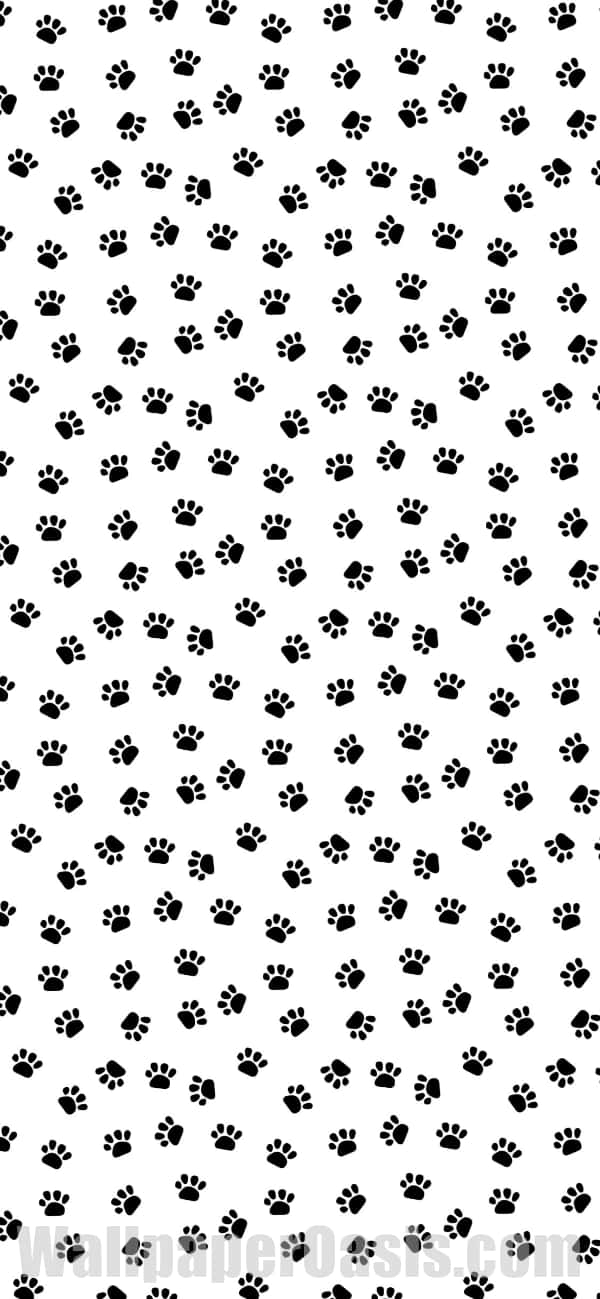 Experience the joy of furry companionship with paws