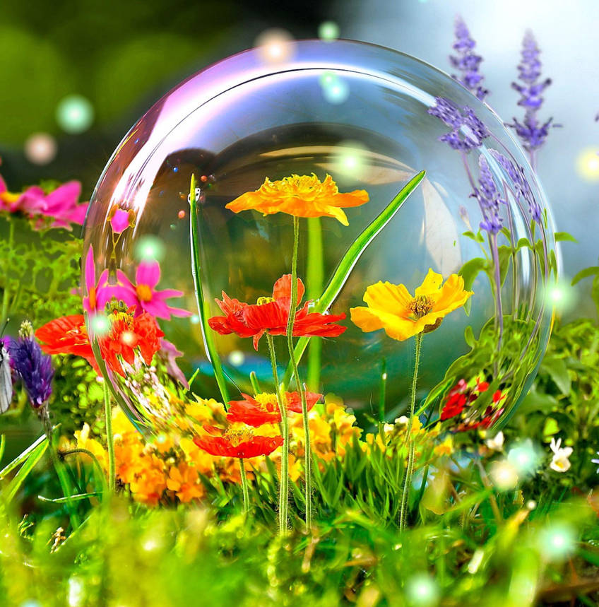 Primrose 3D Nature Wallpaper