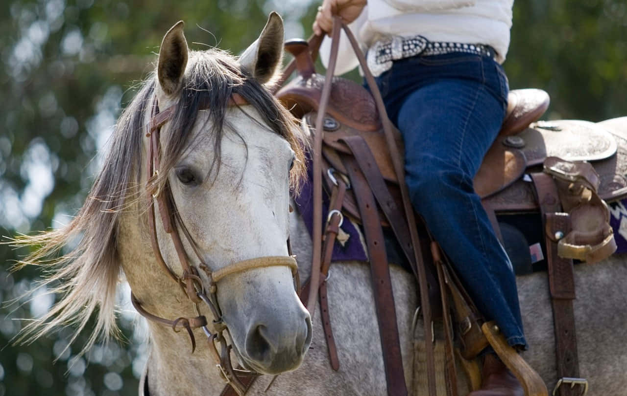 Elhogar Es Donde Está El Rancho. Fondo de pantalla