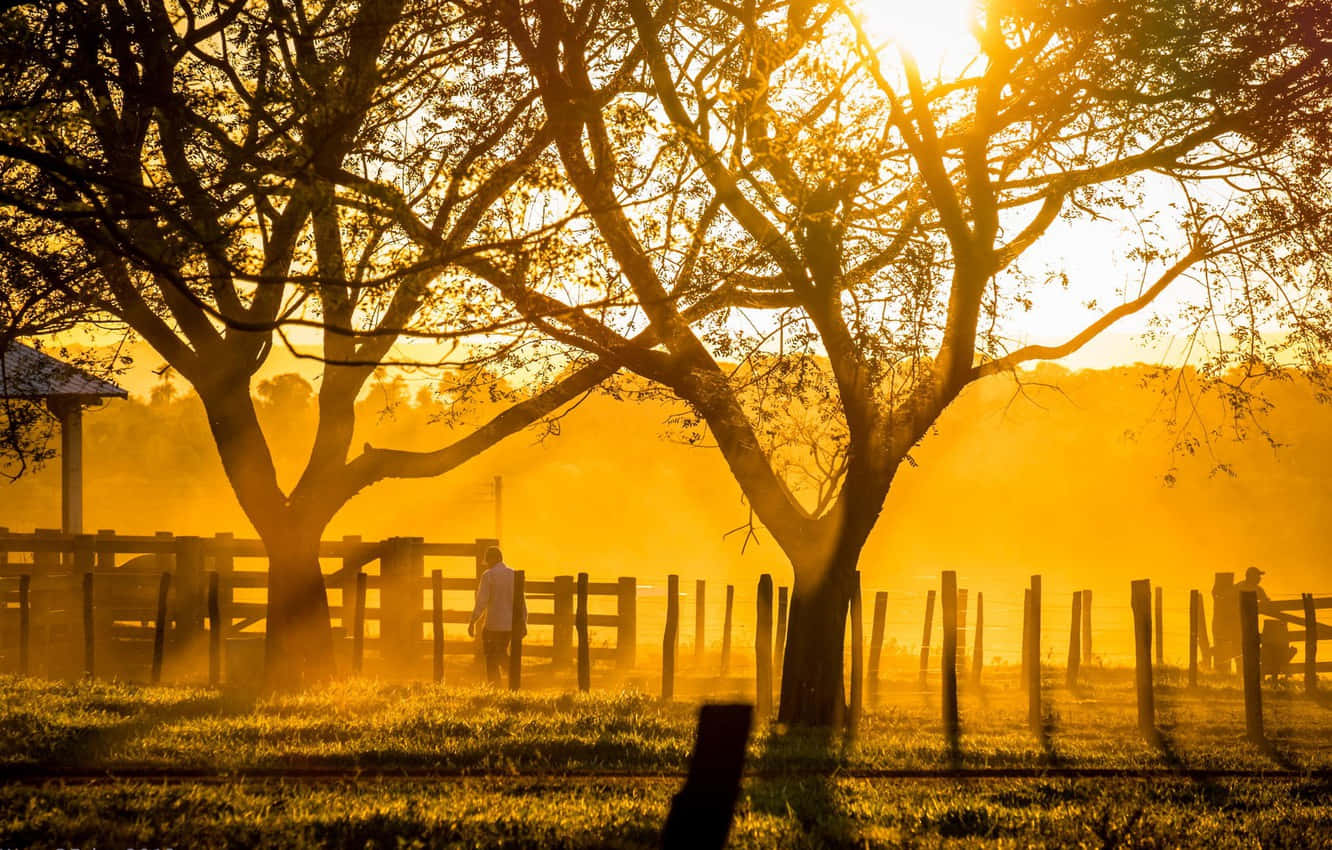 Disfrutandode La Vida En El Campo En Un Rancho Fondo de pantalla
