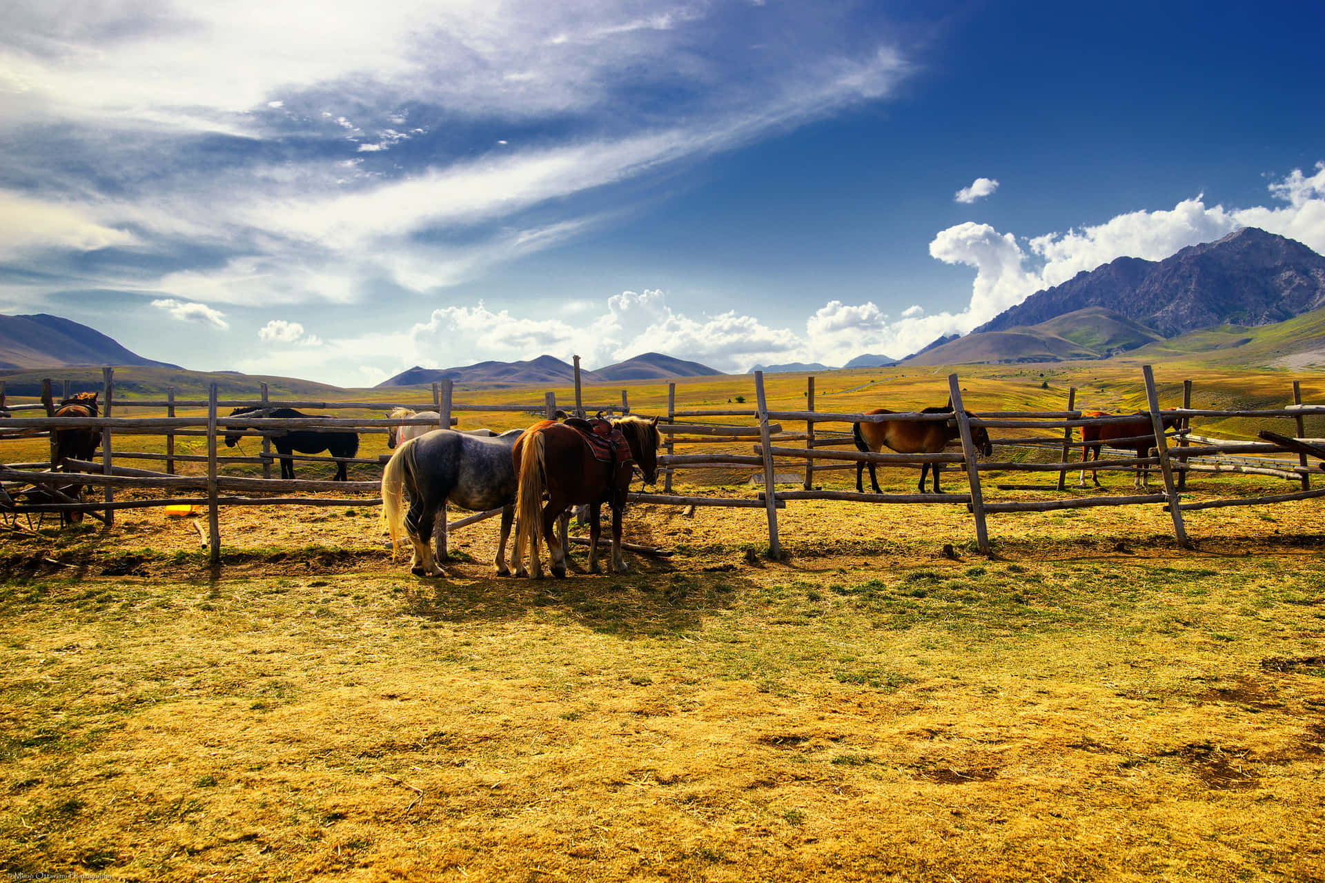 Ricoen Belleza Y Simplicidad - Experimenta Las Alegrías De La Vida En El Rancho. Fondo de pantalla