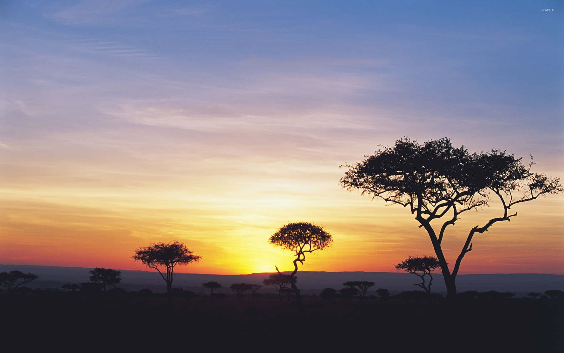 Sunset Skyline On Safari Background