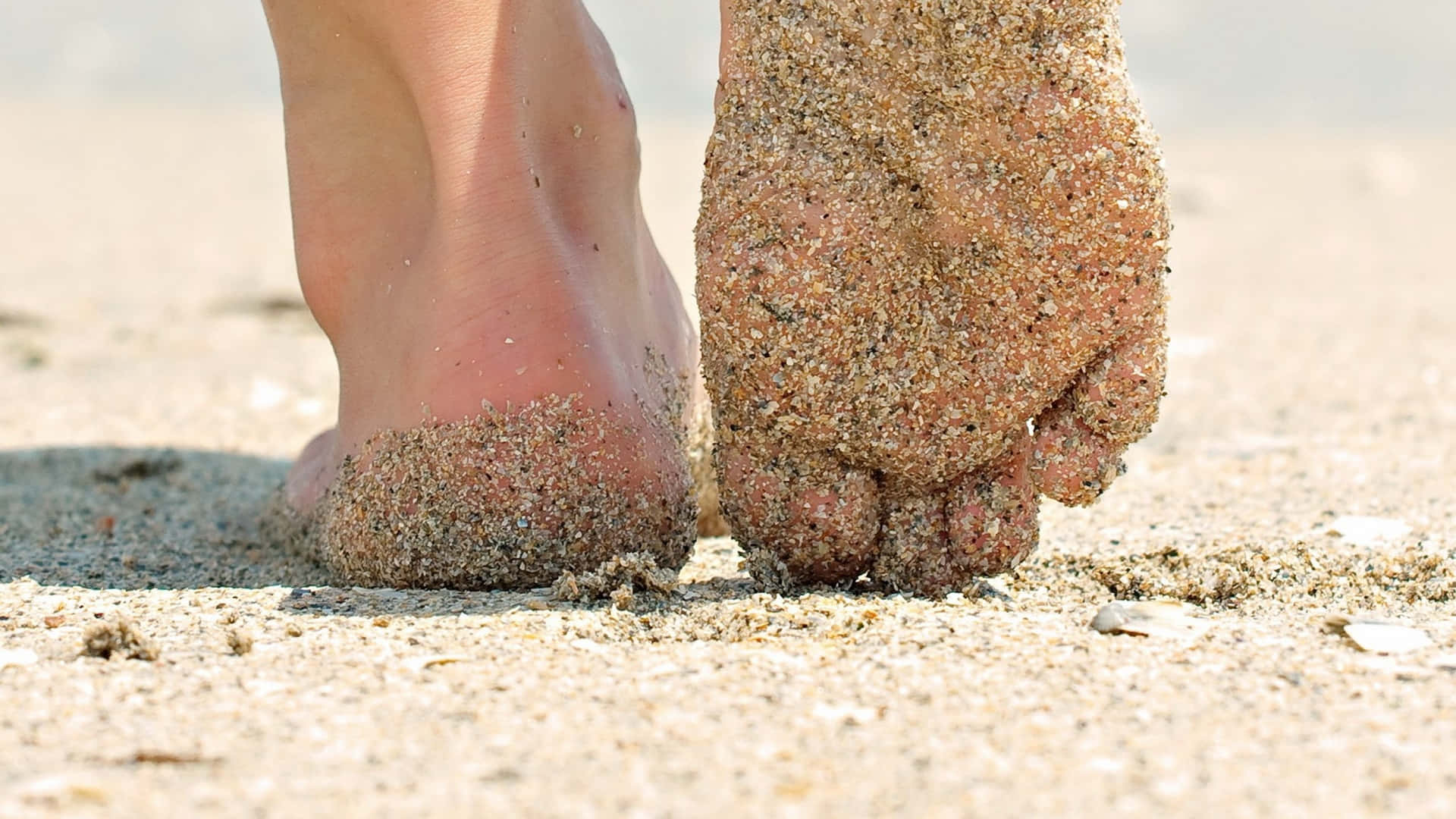 Único 1920 X 1080 Papel de Parede