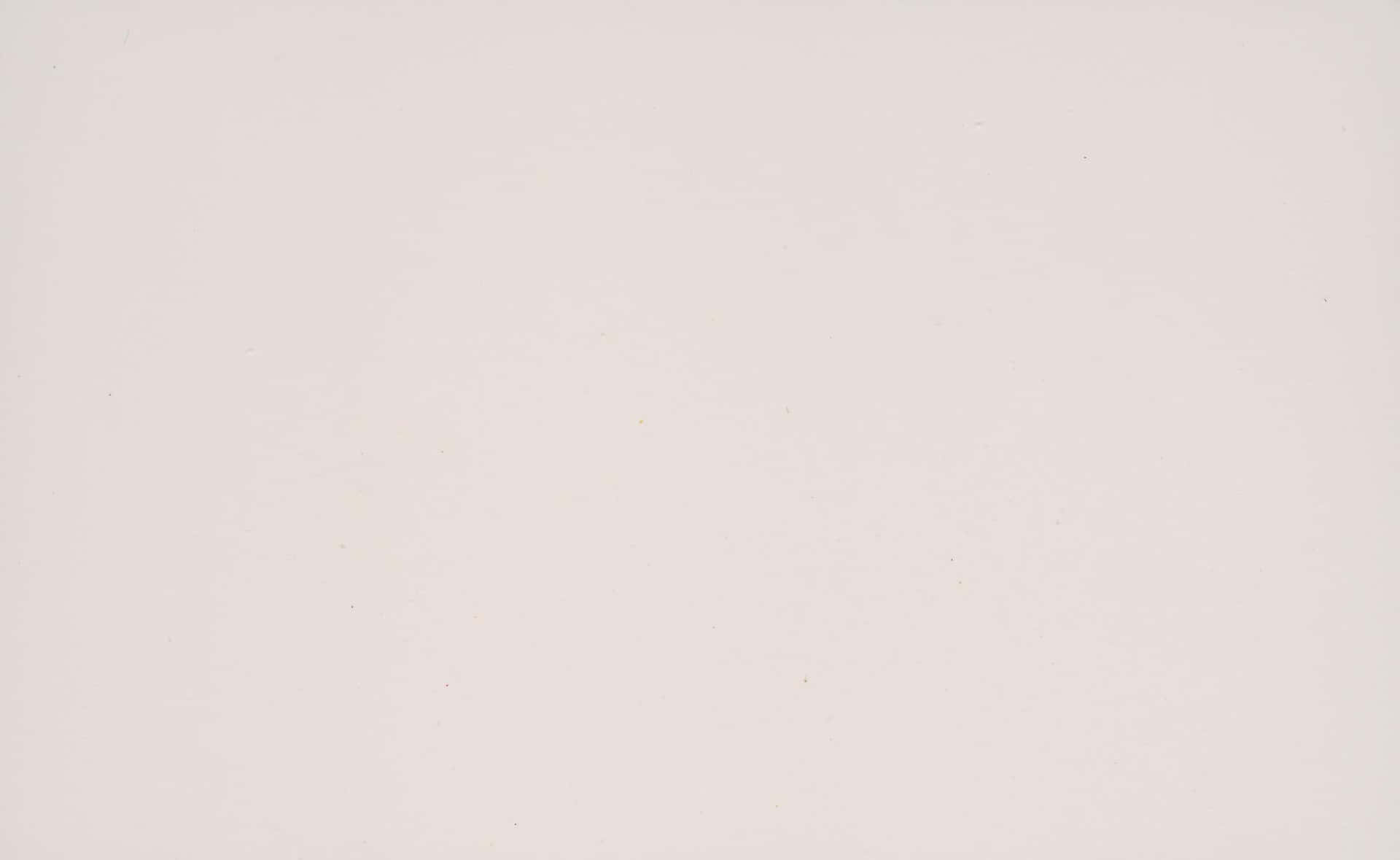 Solid Gray Background