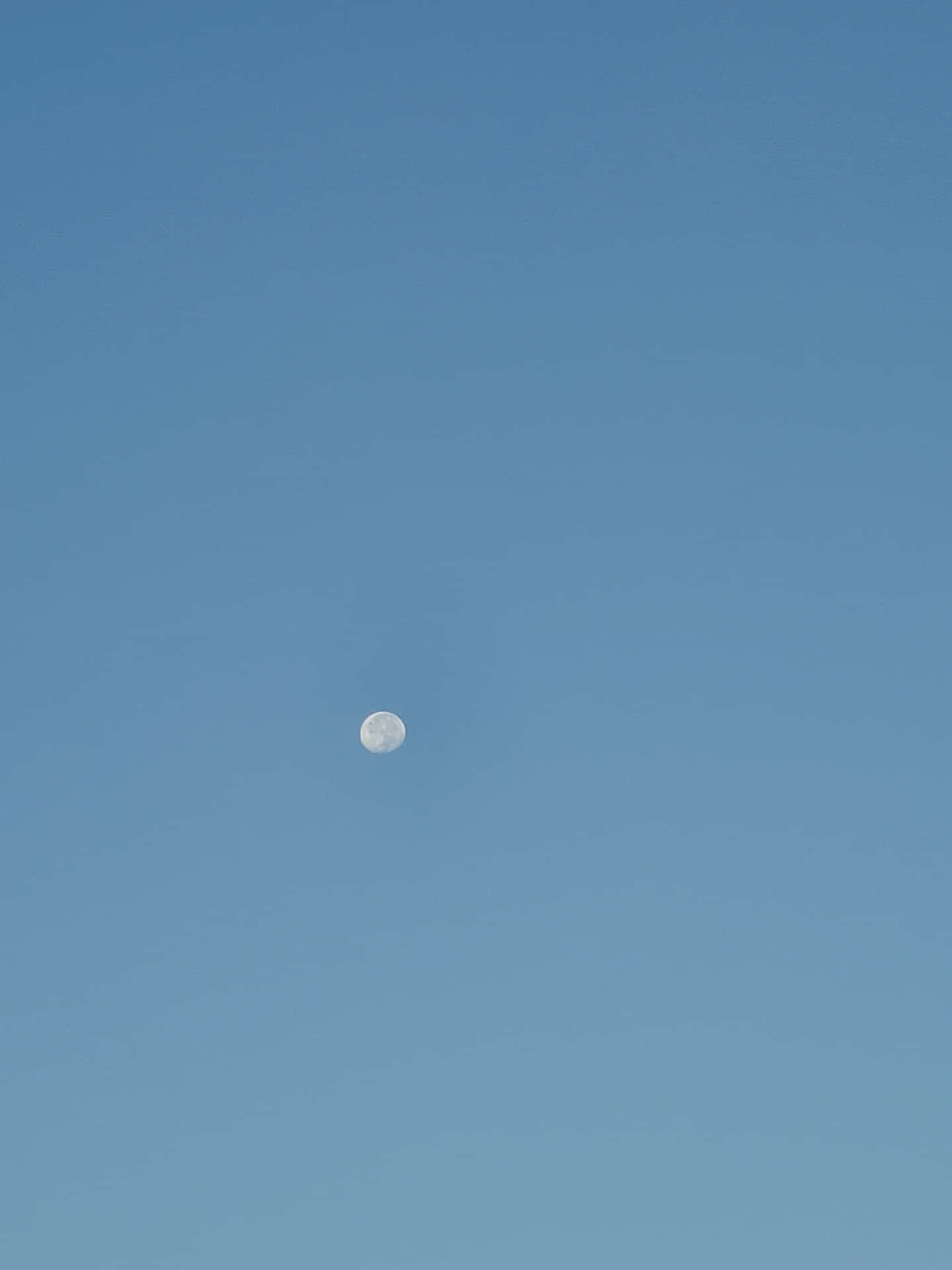 Solid light blue background, calming and serene