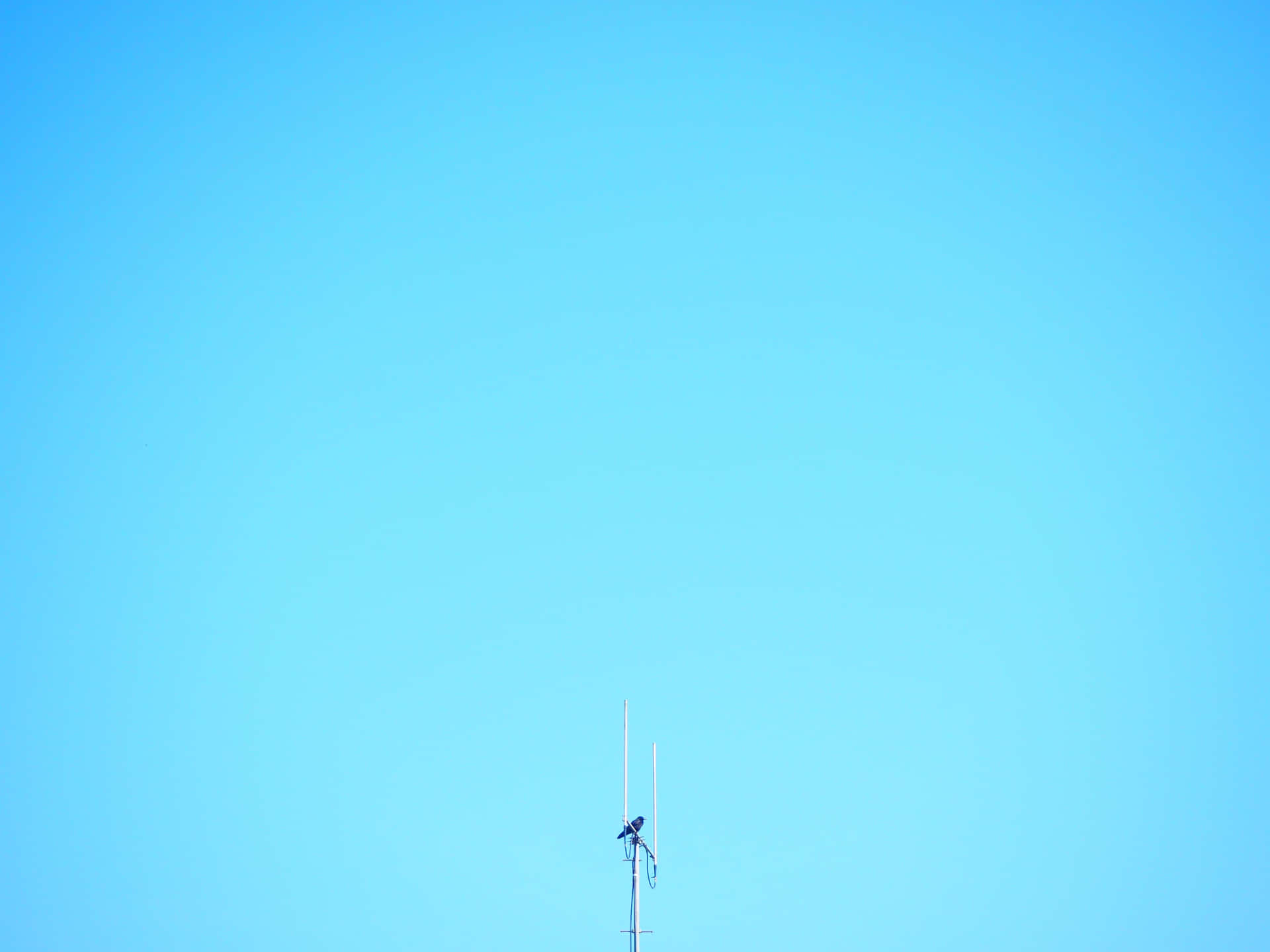 A Solid Light Blue Background