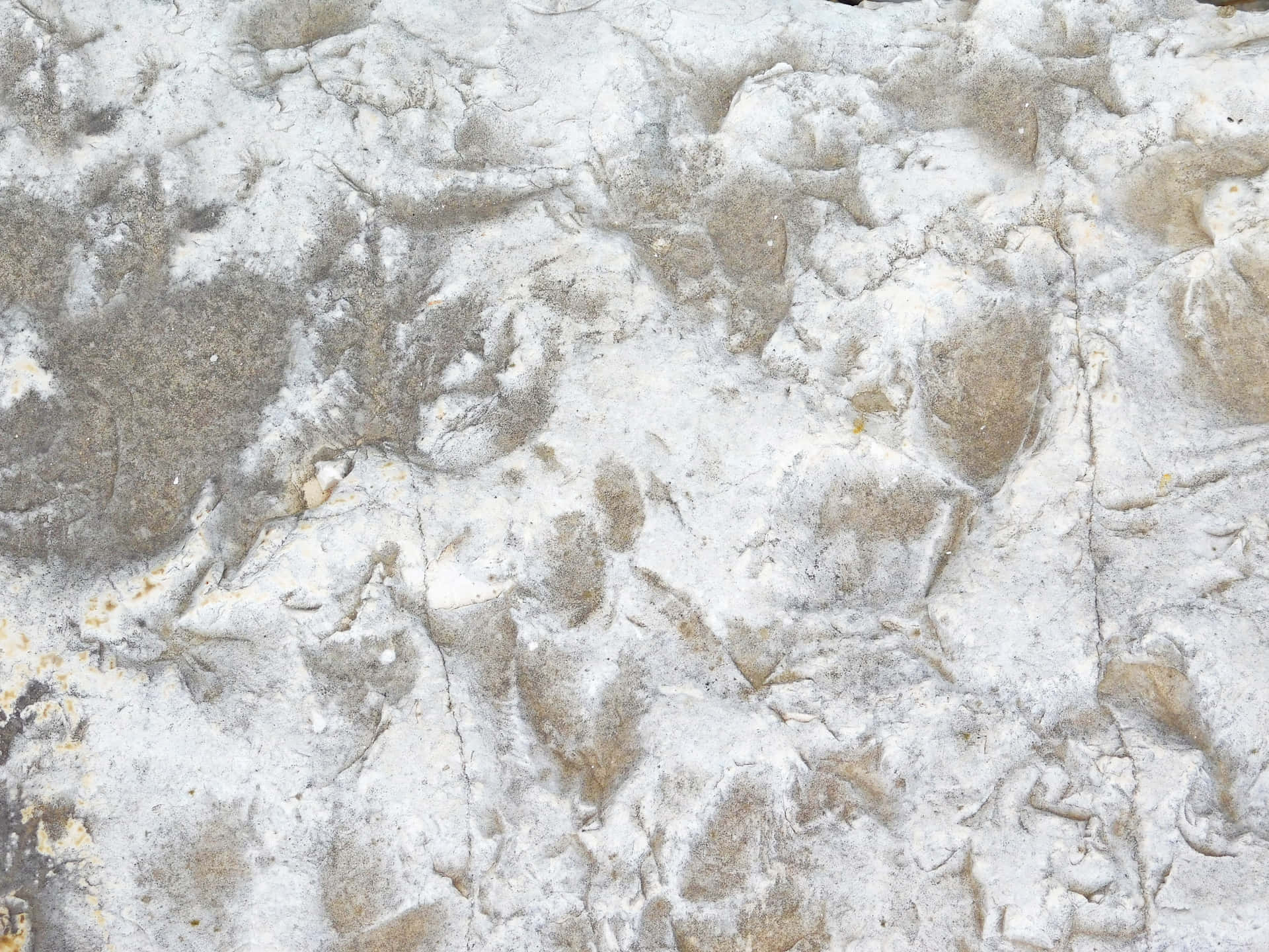 Stone Texture Wallpaper