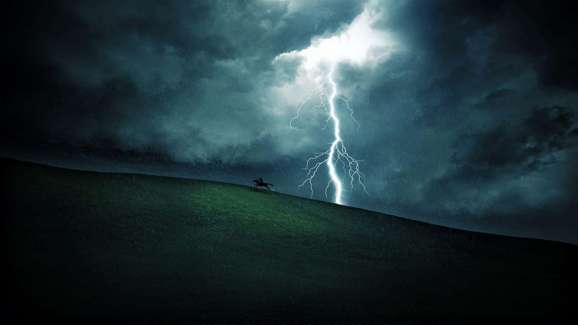 A stormy night in the forest