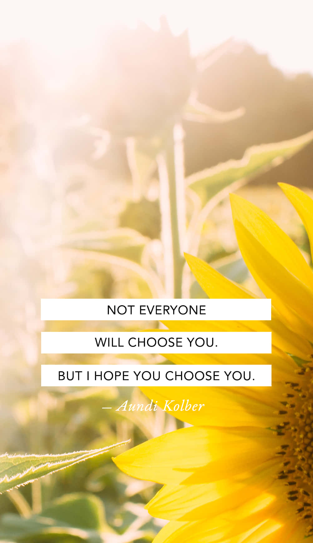 Sonnenblumenliebeszitate Wallpaper